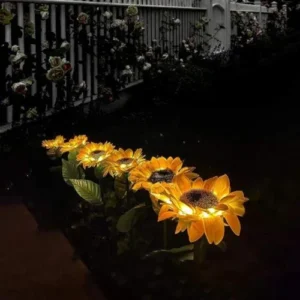 sunflower solar